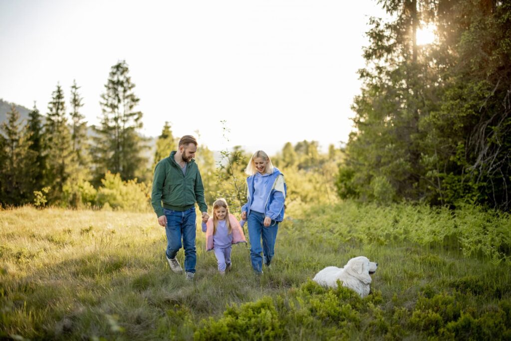 Estate Planning Basics for Idaho Families
